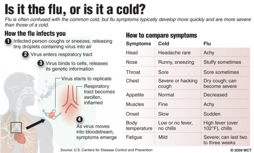 cold vs flu virus