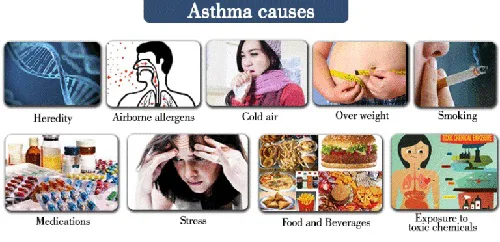 What Causes an Asthma Attack Asthma Causes