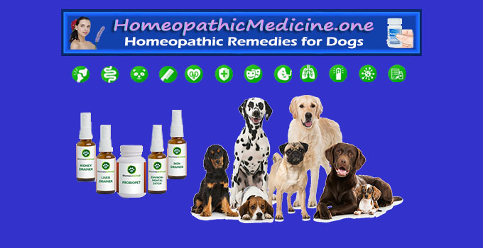 homeopathic remedies for dogs with diarrhea