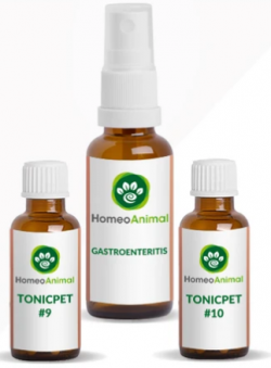 homeopathic remedy for dog stomach