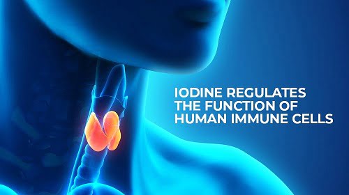 iodine and immunity